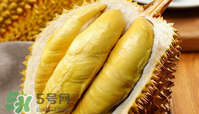 什么人不能吃榴蓮？榴蓮不適合什么人群吃？