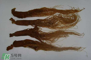 紅參可以天天吃嗎？紅參的功效與作用