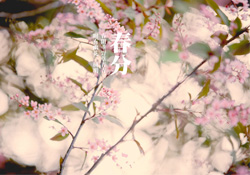春分是春天的開始嗎？春分是春天來(lái)的意思嗎？