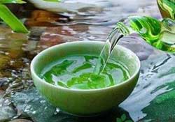 清明茶什么時(shí)候采？采清明茶什么時(shí)候結(jié)束？
