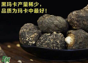 春天能吃瑪卡嗎？女人春天能吃瑪卡嗎？