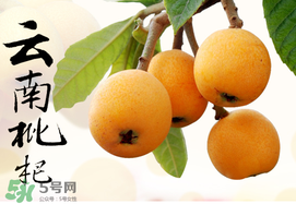 枇杷能放冰箱嗎？枇杷可以放冰箱保存嗎？