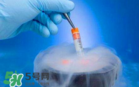 凍卵是什么？?jī)雎炎有枰嗌馘X(qián)？