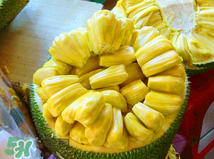 菠蘿蜜的營養(yǎng)價(jià)值 吃菠蘿蜜有什么好處？