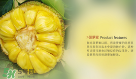 菠蘿蜜和榴蓮的區(qū)別 菠蘿蜜和榴蓮哪個(gè)好吃？