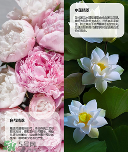 羽西丁一晨限定護(hù)膚品多少錢？羽西丁一晨限定價(jià)格