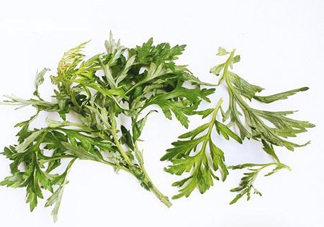 艾草可以治痛經(jīng)嗎？艾草能治月經(jīng)不調(diào)嗎？