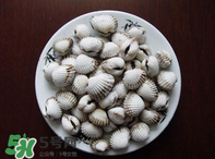 泥蚶怎么讀？泥蚶做法