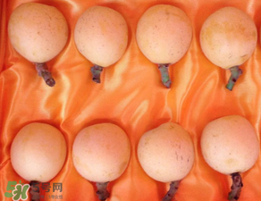 糖尿病能吃枇杷嗎？糖尿病人能吃枇杷嗎？
