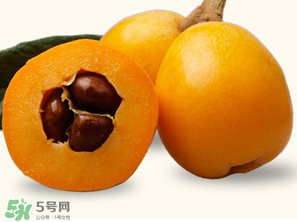 六個月寶寶可以吃枇杷嗎？6個月的寶寶能吃枇杷嗎？