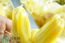 菠蘿蜜怎么吃？菠蘿蜜好吃嗎？