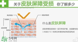 玉澤和至本哪個好？玉澤和至本區(qū)別對比
