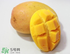 芒果什么季節(jié)成熟？芒果什么時(shí)候上市？