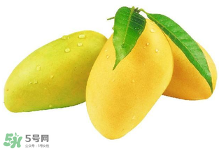 芒果哪里的最好吃？芒果哪種品種好吃？