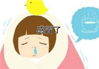 為什么總是感冒？總是感冒怎么回事？