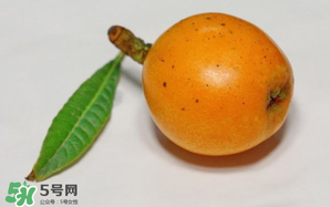 枇杷可以和蔥一起煮嗎？蔥和枇杷葉一起煮可以喝嗎？