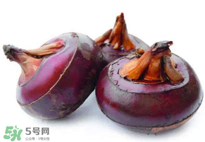 枇杷可以和荸薺一起煮水嗎？枇杷和荸薺能一起吃嗎？