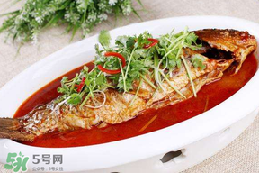枇杷和魚能一起吃嗎？吃完魚可以吃枇杷嗎？