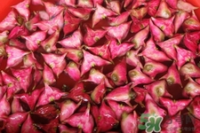 3月份的菱角可以吃嗎？菱角什么時(shí)候吃最好？