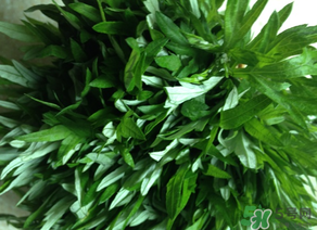 清明草是艾草嗎？清明菜是什么草？