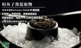 至本是什么牌子？至本什么檔次？