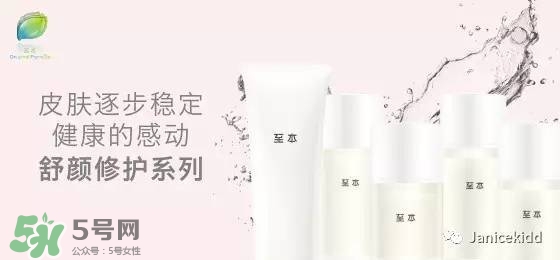 至本是什么牌子？至本什么檔次？