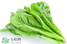 春菜為什么會苦？春菜發(fā)苦能吃嗎？