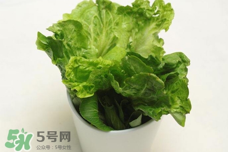 春菜為什么會苦？春菜發(fā)苦能吃嗎？