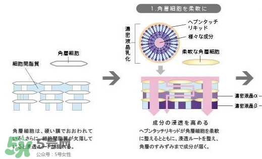 pola極光精華怎么用？pola極光精華使用方法