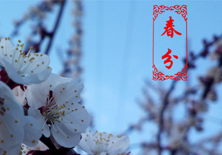 春菜為什么會苦？春菜發(fā)苦能吃嗎？