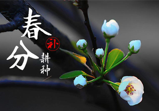 春分吃春菜有什么好處？春菜有什么營(yíng)養(yǎng)價(jià)值？