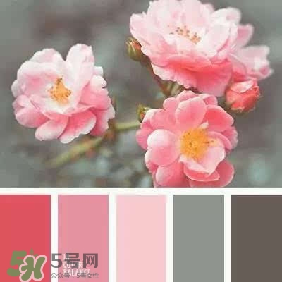 粉色口紅哪個(gè)牌子好？粉色口紅推薦