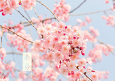 春分吃什么？春分吃什么會(huì)更加健康？