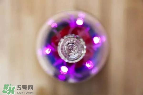 camino美女與野獸音響多少錢？camino玫瑰藍牙音箱價格