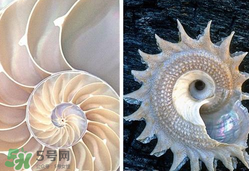 珍珠貝母表盤好嗎？珍珠貝母表盤耐用嗎？
