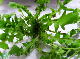 春天吃薺菜好嗎？春天吃薺菜有什么好處？