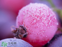 藍莓變紅可以吃嗎？藍莓發(fā)紅是壞掉了嘛？