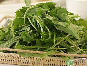 薺菜有毒嗎？吃薺菜會(huì)中毒嗎？