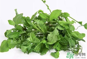 薺菜有毒嗎？吃薺菜會(huì)中毒嗎？