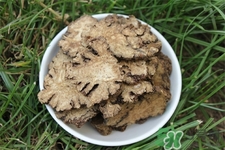 川芎的營養(yǎng)價(jià)值 川芎的功效與作用