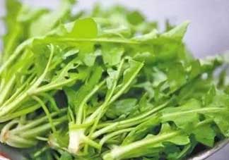 便秘能吃薺菜嗎？便秘可以吃薺菜嗎？