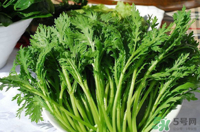 皇帝菜是茼蒿嗎？皇帝菜和茼蒿的區(qū)別