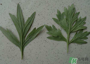 ?蒿子怎么去除苦味？?蒿子粑粑苦是什么原因？