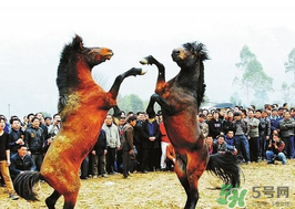 三月三有什么禁忌？三月三有什么講究？