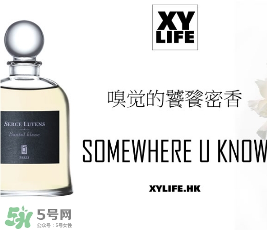 serge lutens蘆丹氏香水哪款好聞？鹵蛋蘆丹氏香水推薦