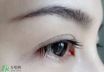serge lutens蘆丹氏睫毛膏怎么樣？蘆丹氏睫毛膏好不好用？