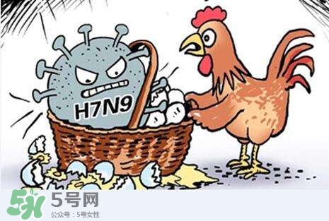 怎樣預(yù)防禽流感？如何預(yù)防禽流感