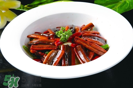 黃鱔是什么？黃鱔是魚嗎？