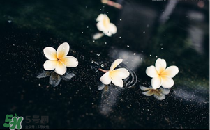 三月份為什么一直下雨？2017年三月份為什么雨多？