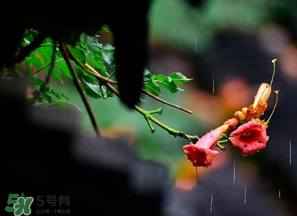 2017年梅雨季節(jié)是幾月？2017年梅雨季節(jié)是什么時候？